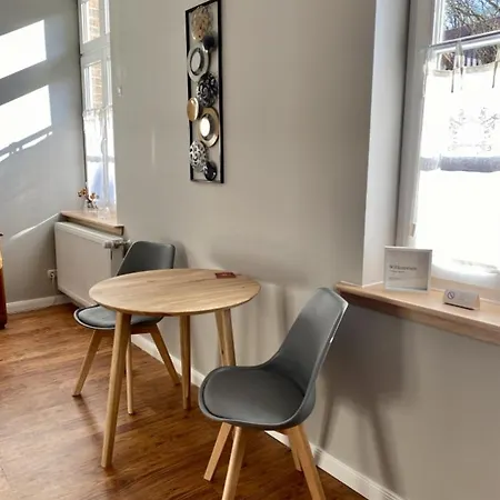 - Western Horse Academy