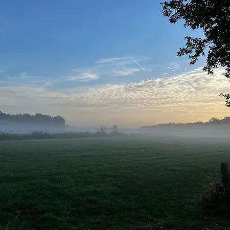 - Western Horse Academy