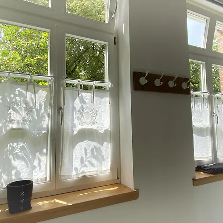 - Western Horse Academy 瓦尔斯罗德