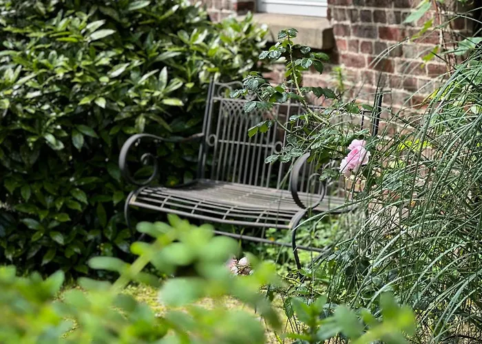 - Western Horse Academy 3*