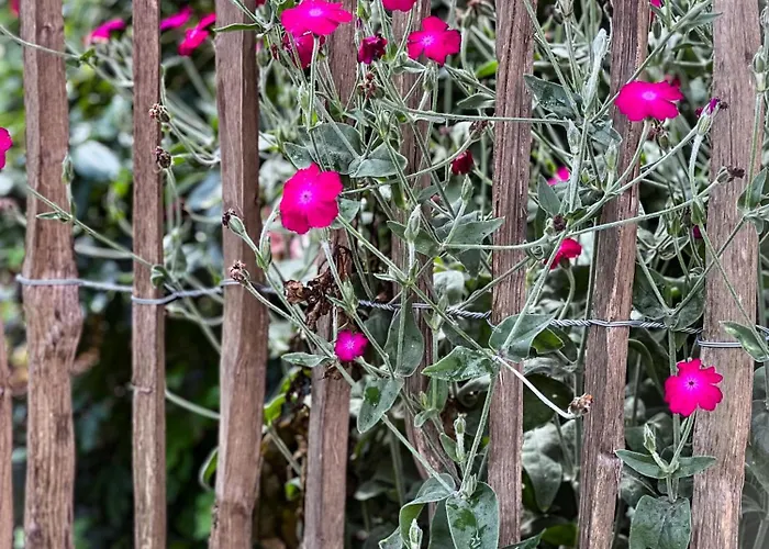 - Western Horse Academy Bed & Breakfast 3*