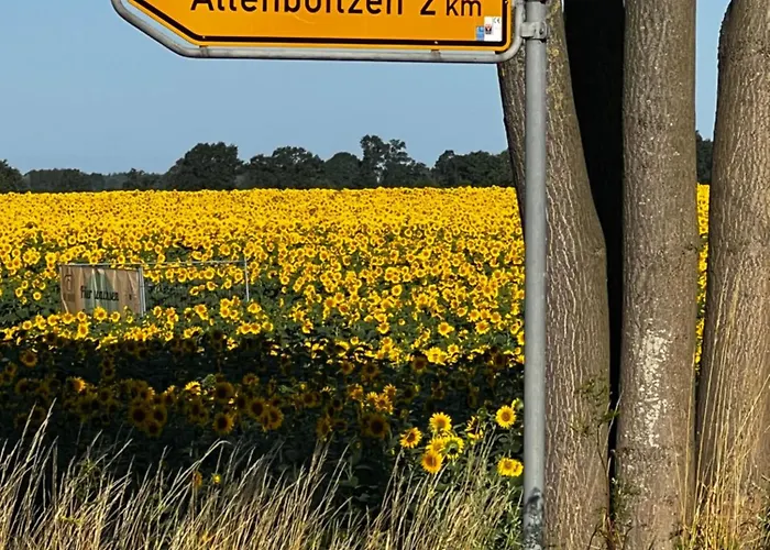 - Western Horse Academy Bed & Breakfast