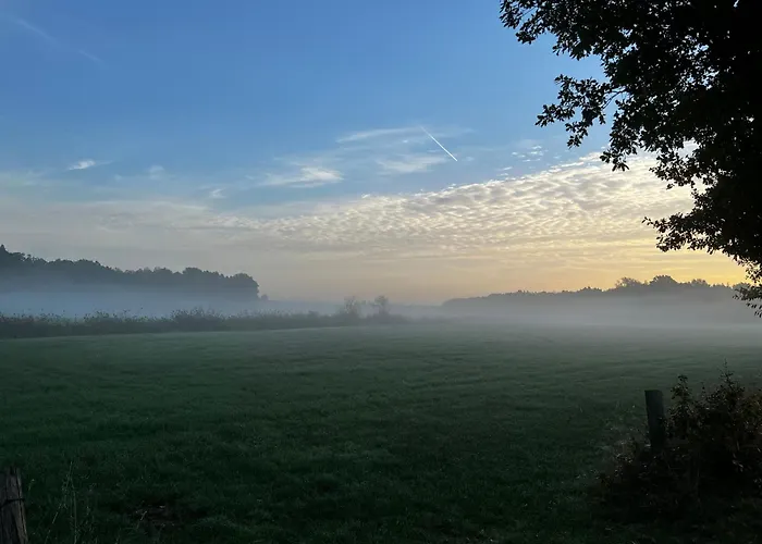 - Western Horse Academy